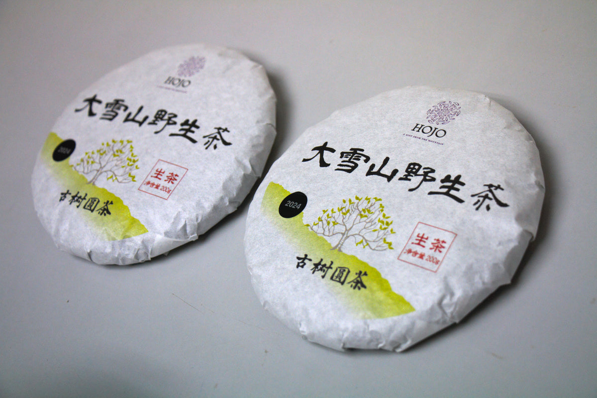大雪山野生茶2024 茶饼– HOJO TEA MY
