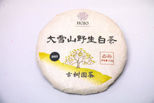 Load image into Gallery viewer, Da Xue Shan Wild White Tea 2023 / 大雪山野生白茶