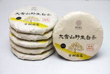 Load image into Gallery viewer, Da Xue Shan Wild White Tea 2023 / 大雪山野生白茶