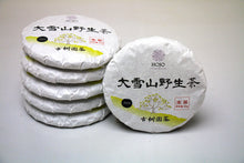 Load image into Gallery viewer, Da Xue Shan Wild Raw Pu-erh 2024 tea cake / 大雪山野生茶 茶饼