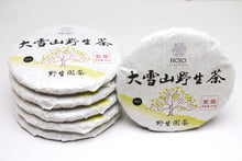 Load image into Gallery viewer, Da Xue Shan Wild Raw Pu-erh 2023 / 大雪山野生茶