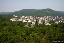 将图片加载到图库查看器,狮峰龙井茶