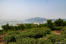 将图片加载到图库查看器,狮峰龙井茶