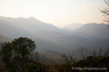 Load image into Gallery viewer, Bai Ying Shan Raw Pu-erh Tea 2016 Loose Tea / 白鶯山古樹生茶 2016  散茶