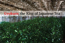 将图片加载到图库查看器,Yame Gyokuro / 八女玉露