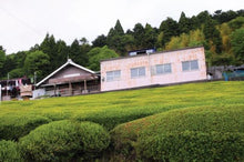 将图片加载到图库查看器,本山蛇塚玉露