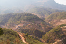 Load image into Gallery viewer, Mang Fei Raw Pu-erh Tea 2015 / 忙肺古樹生茶 2015