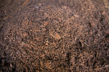 Load image into Gallery viewer, Da Cha Tou (Wu Liang Shan) Ripe Pu-erh 2020 / 无量山大茶头 熟茶