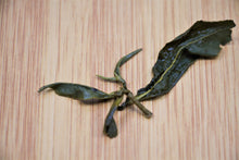 将图片加载到图库查看器,阿里山茶