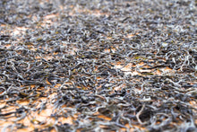 Load image into Gallery viewer, Mang Fei Raw Pu-erh Tea 2015 / 忙肺古樹生茶 2015