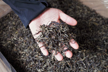 Load image into Gallery viewer, Ma An Shan Gong Fu Pu-erh 2018 (Loose tea) / 马鞍山功夫普洱生茶 散茶
