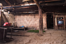 Load image into Gallery viewer, Vintage 2013 Myanmar White Tea Bud / 陈年缅甸白芽茶 2013