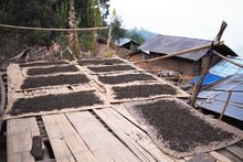 将图片加载到图库查看器,缅甸果甘普洱生茶 2017 / 缅甸果敢古树生茶