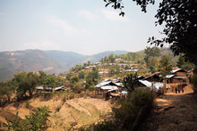 将图片加载到图库查看器,缅甸果甘普洱生茶 2017 / 缅甸果敢古树生茶