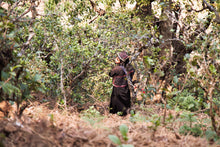 Load image into Gallery viewer, Myanmar Guo Gan Raw Pu-erh Tea 2017 / 缅甸果敢古樹生茶 2017