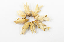 Load image into Gallery viewer, Wild White Tea Bud / 野生白芽苞