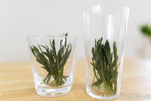 将图片加载到图库查看器,太平猴魁