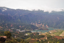 Load image into Gallery viewer, Phoenix Oolong Mi Lan Xiang / 鳳凰単叢 蜜蘭香