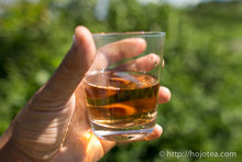 将图片加载到图库查看器,黑鉄観音