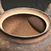 Load image into Gallery viewer, Tokoname Clay Tea Pot L68