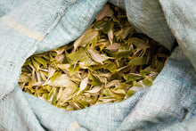 Load image into Gallery viewer, Liu Jia Raw Pu-erh Tea 2019 / 劉家古樹生茶 2019