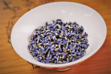 将图片加载到图库查看器,来自新疆的薰衣草 / 茵衣草 (新疆伊甸)