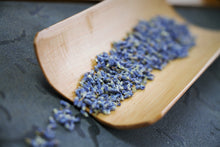 将图片加载到图库查看器,来自新疆的薰衣草 / 茵衣草 (新疆伊甸)