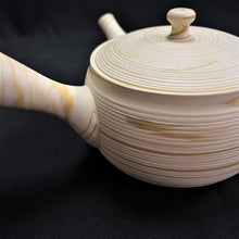 Load image into Gallery viewer, Tokoname Clay Teapot M261