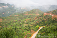 将图片加载到图库查看器,鉄観音 中焙火