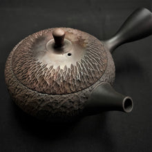 Load image into Gallery viewer, Tokoname Clay Tea Pot N15
