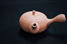 Load image into Gallery viewer, 117-4 Shigaraki Rough Clay Tea Pot 160ml