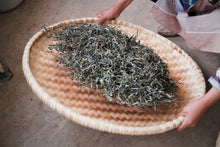 Load image into Gallery viewer, Single Tree Raw Pu-erh Tea 2021 (Loose Tea) / 単株普洱生茶 散茶