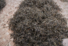 Load image into Gallery viewer, Single Tree Raw Pu-erh Tea 2021 (Loose Tea) / 単株普洱生茶 散茶