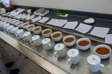 将图片加载到图库查看器,Single Tree Black Tea 2019 (Loose Tea) / 单株古树红茶 散茶