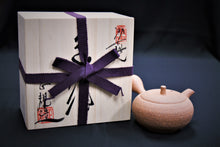 Load image into Gallery viewer, 117-5 Shigaraki Rough Clay Tea Pot 140ml