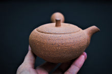 Load image into Gallery viewer, 117-5 Shigaraki Rough Clay Tea Pot 140ml