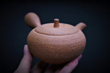 Load image into Gallery viewer, 117-5 Shigaraki Rough Clay Tea Pot 140ml