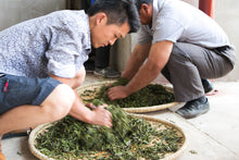 Load image into Gallery viewer, Ma An Shan Raw Pu-erh 2015 / 马鞍山古树生茶 2015