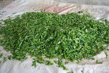 Load image into Gallery viewer, Ma An Shan Raw Pu-erh 2015 / 马鞍山古树生茶 2015