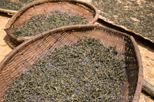 Load image into Gallery viewer, Huang Wu Lin Raw Pu-erh 2013 / 黄芜林古树生茶