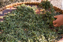 Load image into Gallery viewer, Huang Wu Lin Raw Pu-erh 2013 / 黄芜林古树生茶