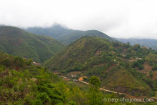 Load image into Gallery viewer, Wu Liang Shan Raw Pu-erh Tea 2016 / 无量山古树生茶 2016
