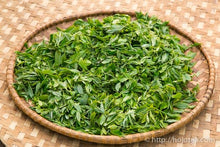 Load image into Gallery viewer, Wu Liang Shan Raw Pu-erh Tea 2016 / 无量山古树生茶 2016