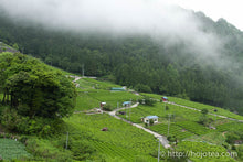 将图片加载到图库查看器,春日再来煎茶 / 春日在来煎茶