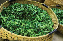 将图片加载到图库查看器,本山蛇塚玉露