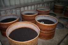 Load image into Gallery viewer, Vintage 30 Years Dong Ding Oolong / 凍頂陳年老茶30年