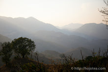 Load image into Gallery viewer, Bai Ying Shan Raw Pu-erh Tea 2017 / 白鶯山古樹生茶 2017