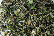 Load image into Gallery viewer, Ancient Tree White 2024 / 古树白茶
