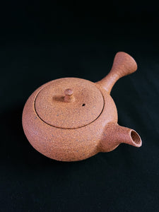 B268 Shigaraki Rough Clay Tea Pot 140ml