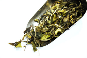 Bai Mu Dan White Tea 2022 / 白牡丹白茶